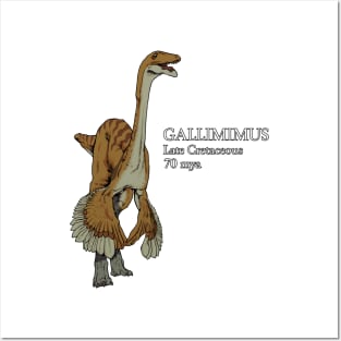 Realistic drawing of Gallimimus Posters and Art